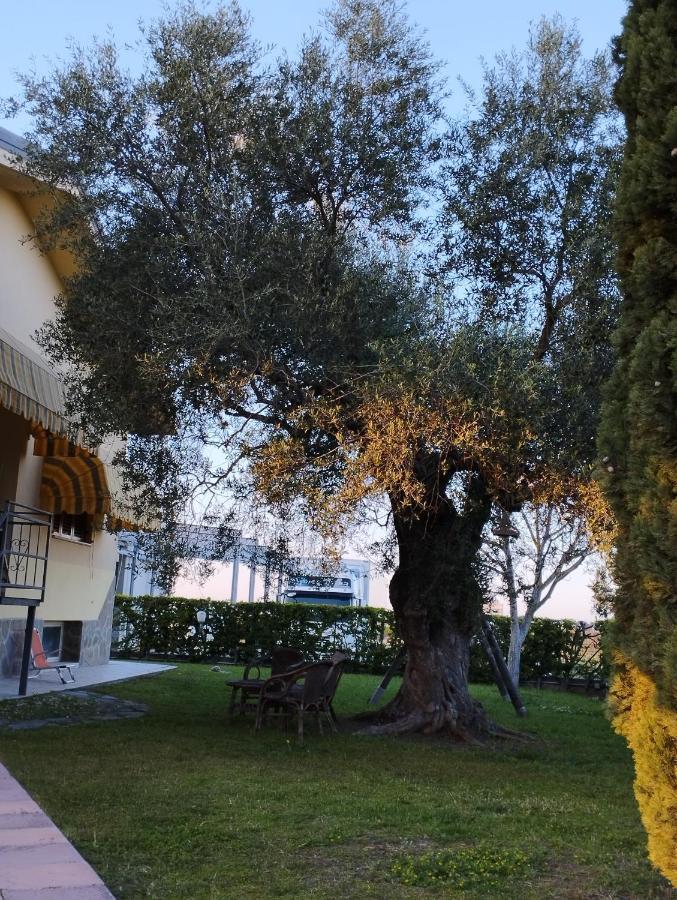 Magnolia House Appartement Scanzano Jonico Buitenkant foto