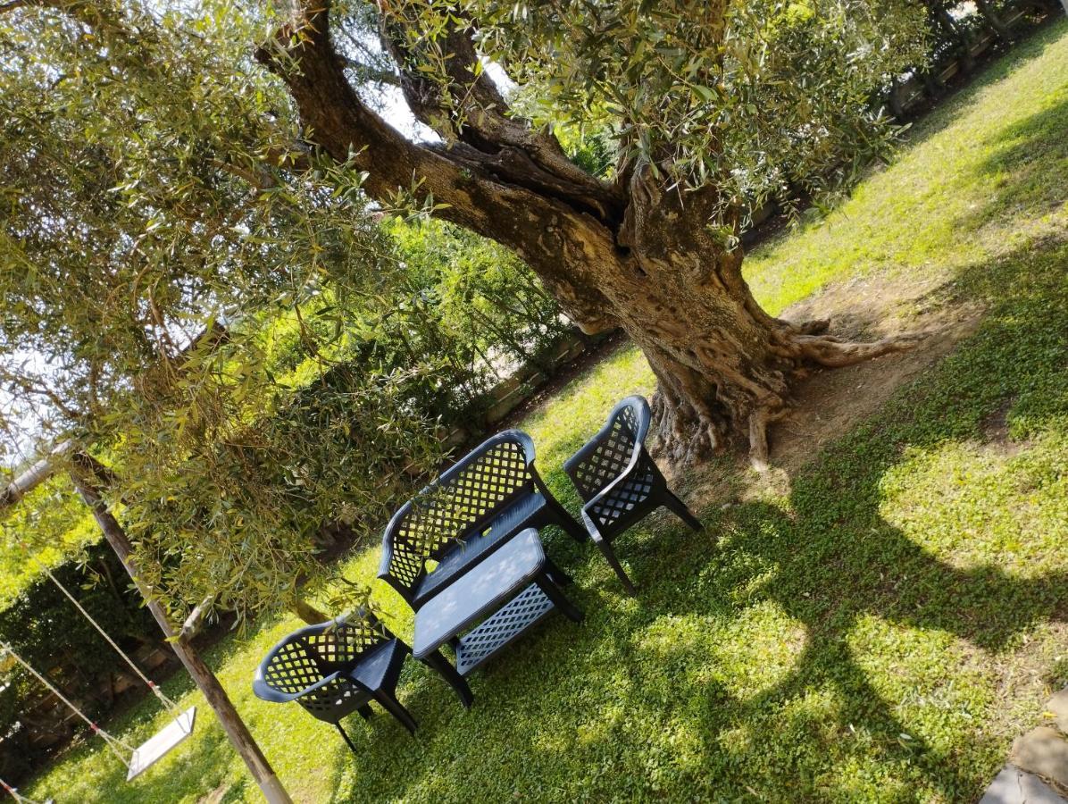 Magnolia House Appartement Scanzano Jonico Buitenkant foto